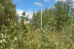 Знімок-екрана-2026-08-26-150726
