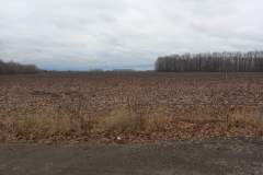 0-02-05-34b398803d0a284f7b395819c9763cf331152b34c556285fea1876d7fcdcbbb9_6aa17a0278e8ef44